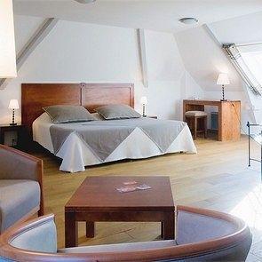 Le Domaine De La Ferriere 3*